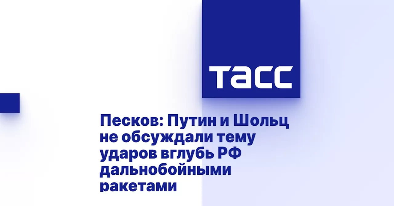 Песков: Путин и Шольц не обсуждали тему ударов вглубь РФ дальнобойными ракетами