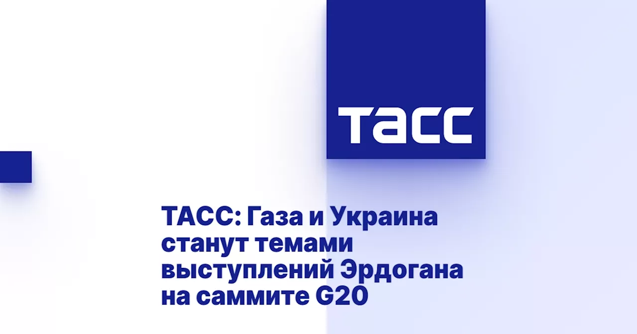 ТАСС: Газа и Украина станут темами выступлений Эрдогана на саммите G20