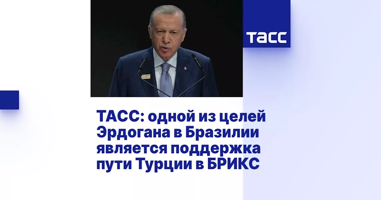 ТАСС: одной из целей Эрдогана в Бразилии является поддержка пути Турции в БРИКС