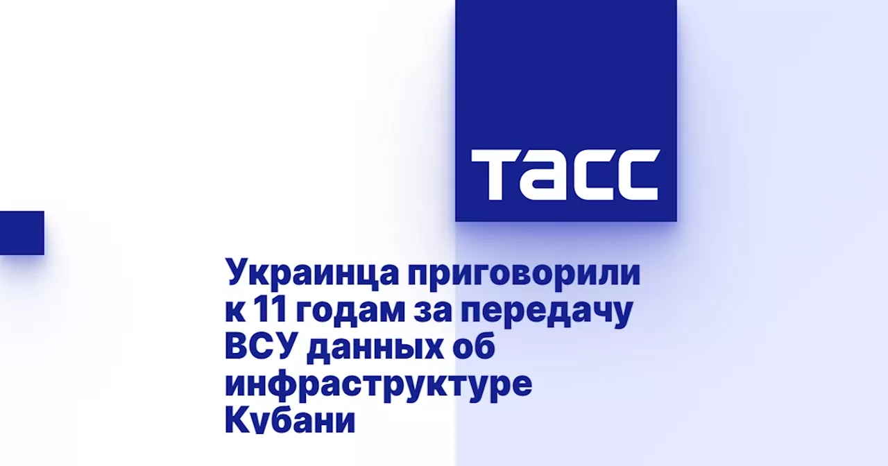 Украинца приговорили к 11 годам за передачу ВСУ данных об инфраструктуре Кубани