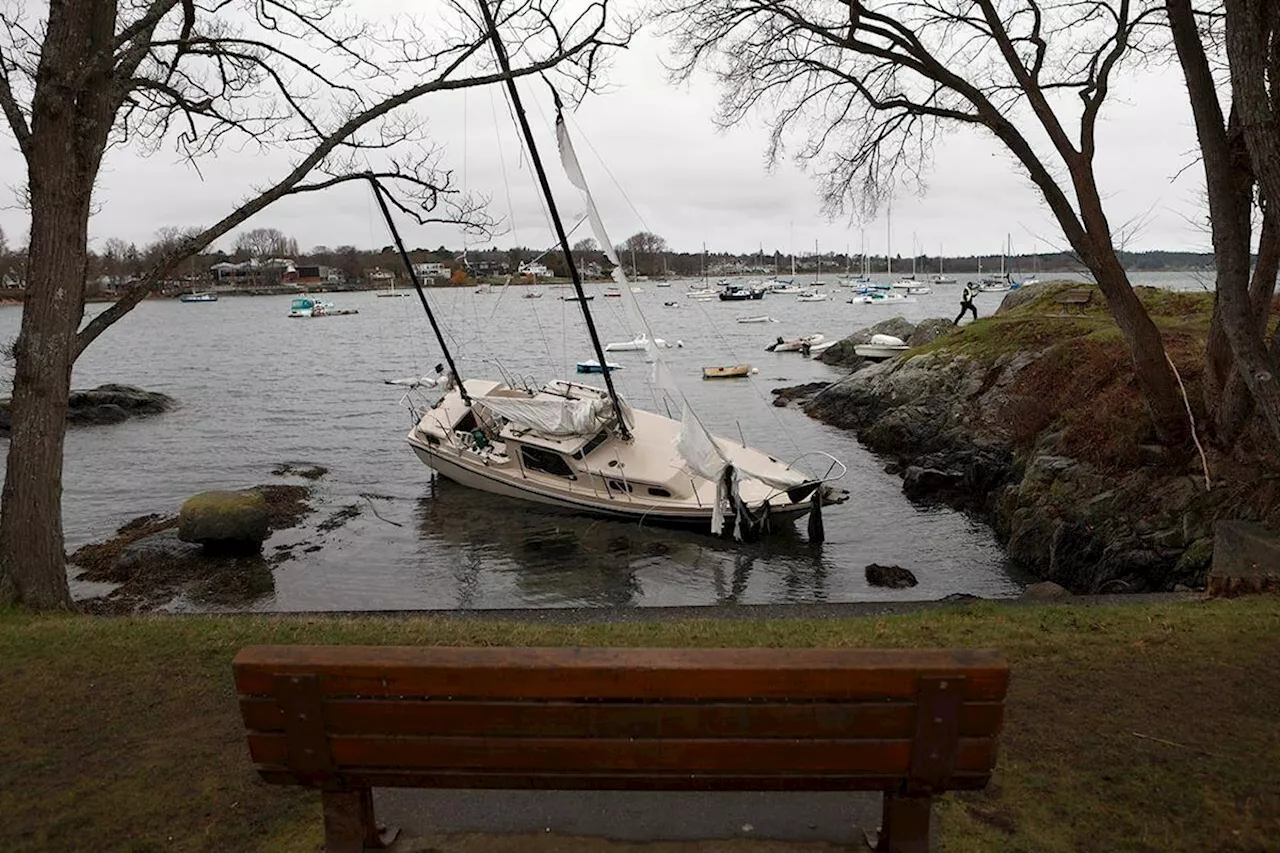 ‘Bomb cyclone’ conditions could bring serious winds to B.C. coast