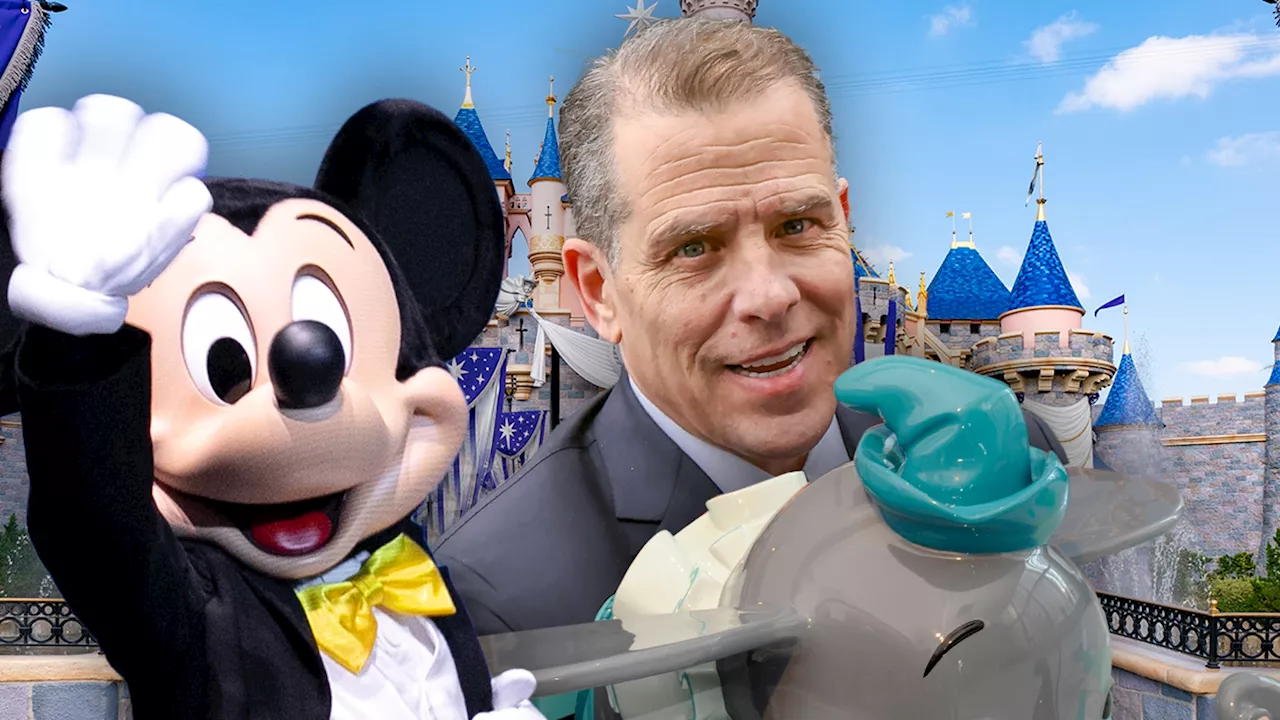 Hunter Biden Has Happy Family Day at Disneyland as Federal Sentencing Looms