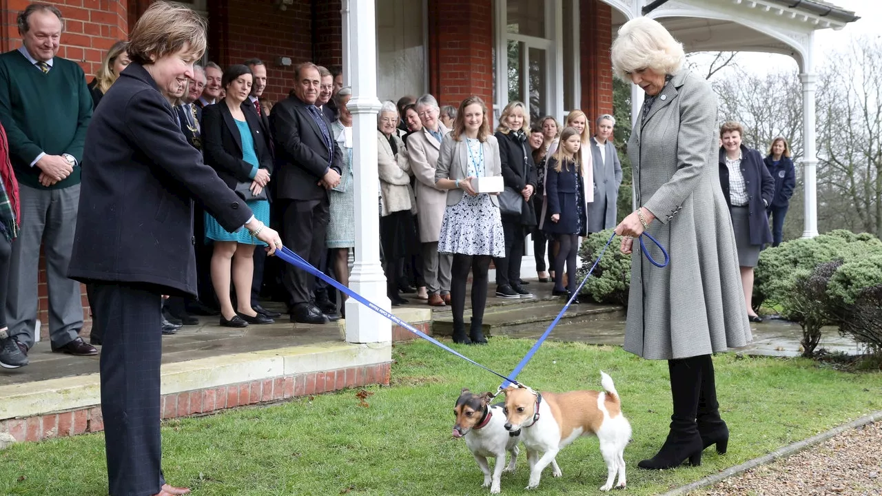 La reine Camilla partage sa tristesse après la disparition de son chien Beth