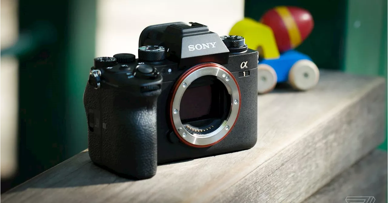 Sony Alpha 1 review: everything nice at an expensive price