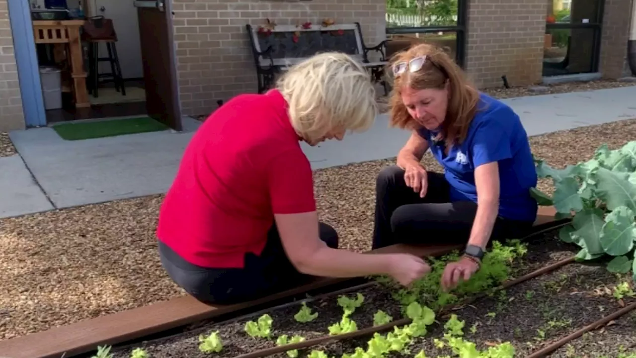 Home Grown: What you need to know about thinning your vegetable plants