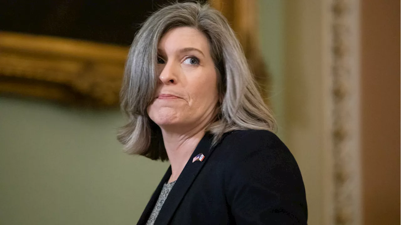 GOP senator calls for audit after finding 800+ IRS employees owe back taxes