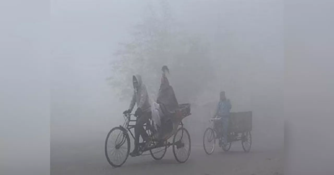 Rajasthan Weather Update: राजस्थान में हवा के बदले रुख ने बढ़ाई सर्दी, 9.2 डिग्री तक लुढ़का पारा, घने कोहरे से विजिबिलिटी हुई कम