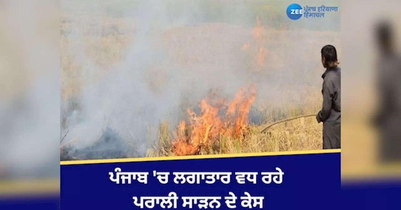 Stubble Burning Case In Punjab: ਪੰਜਾਬ ਚ ਪਰਾਲੀ ਸਾੜਨ ਦੇ ਮਾਮਲਿਆਂ ਚ ਹੋ ਰਿਹਾ ਲਗਾਤਾਰ ਵਾਧਾ, ਜਾਣੋ ਤਾਜਾ ਆਂਕੜੇ