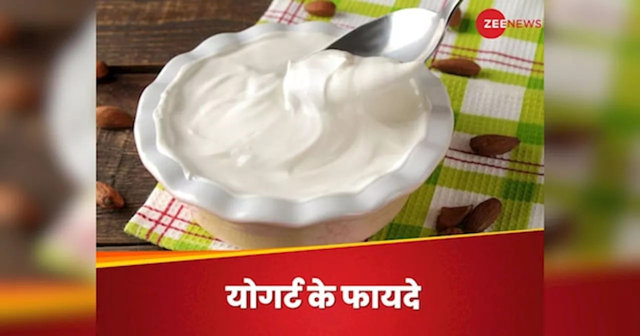 Yogurt Benefits: हमें रोजाना क्यों खाना चाहिए योगर्ट? फायदे जानेंगे तो नहीं पूछेंगे ये सवाल