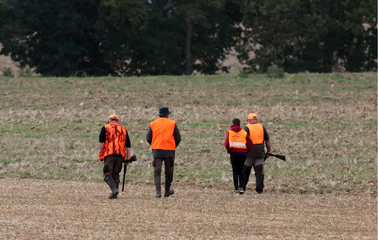 Un chasseur tire par accident dans la prothèse de genou d’un autre chasseur