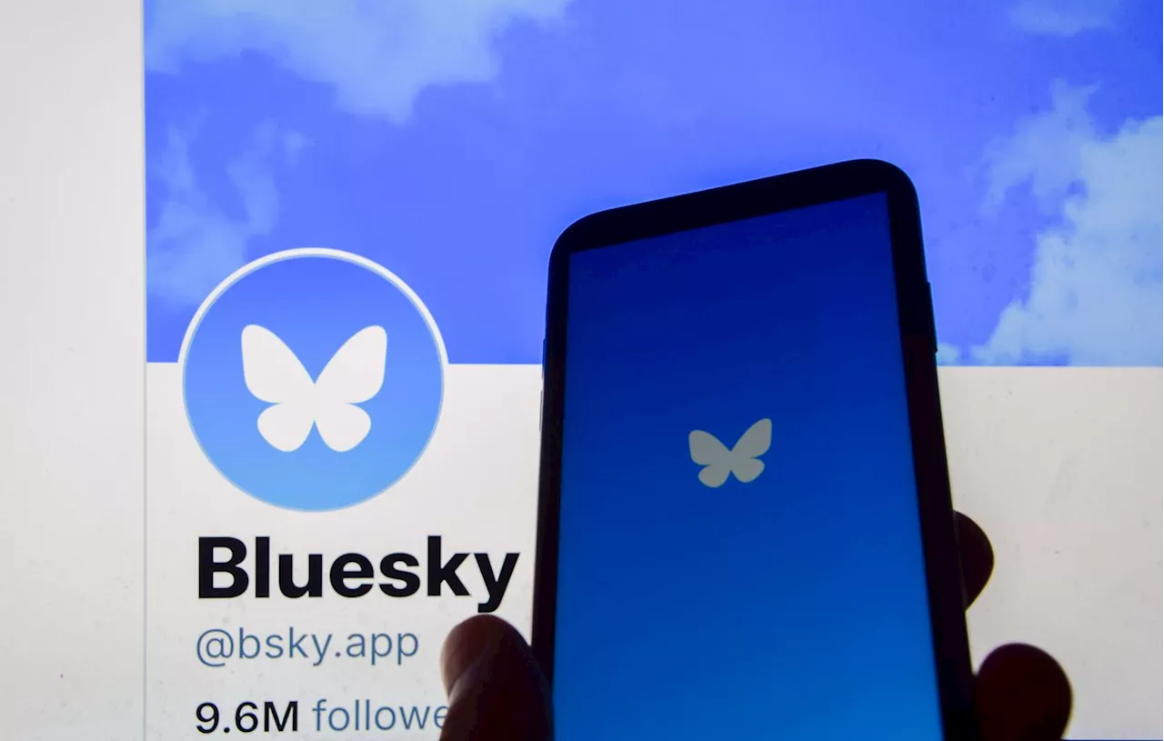 Les tips pour se créer une bonne timeline Bluesky