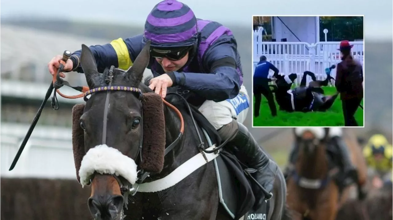 Horse racing tragedy as three horses die at same course on same day