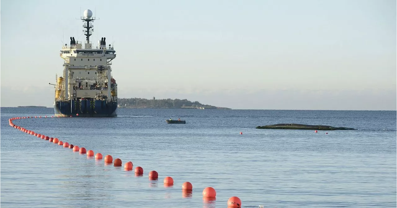 Disruption of underwater cables in Baltic Sea triggers warning of 'hybrid warfare'