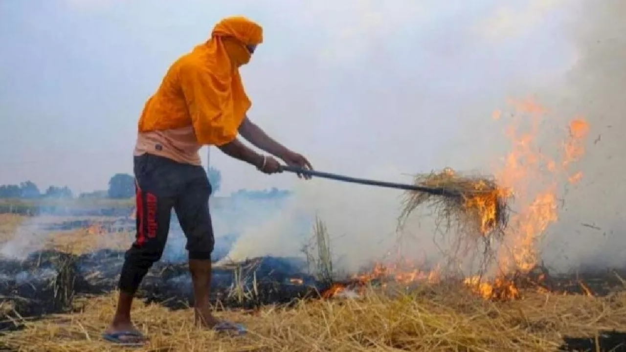 पराली जलाने के लिए पंजाब के किसानों का 'पोखरण प्लान'... NASA के सैटेलाइट को ही दे रहे हैं चकमा?