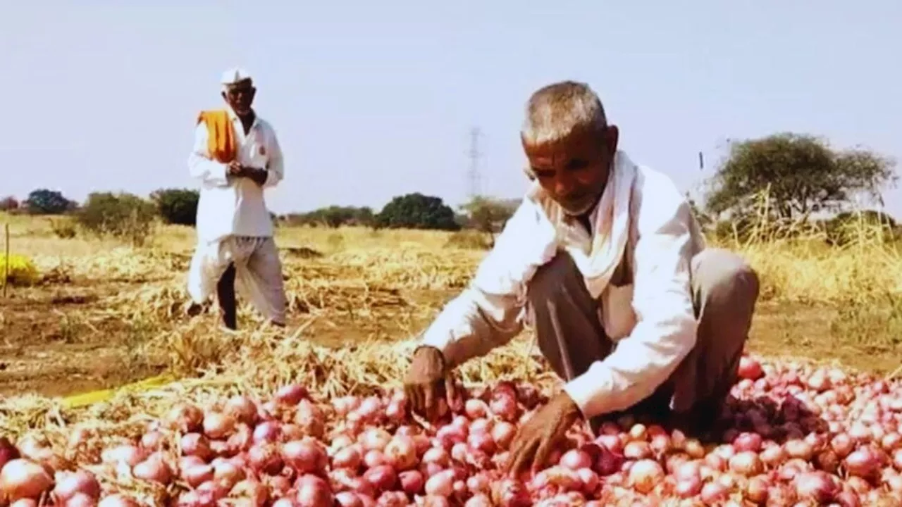 प्याज, कॉटन और सोयाबीन... महाराष्ट्र में फसलों की कीमतें कैसे बन गईं चुनावी मुद्दा?