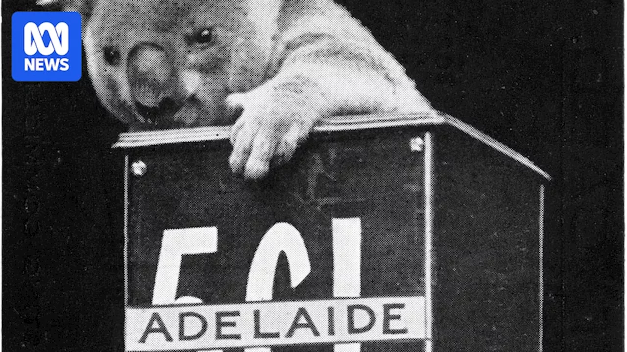 Adelaide celebrates 100 years of radio, from early broadcasters and the ABC, to SA-FM's Skyshow and DAB