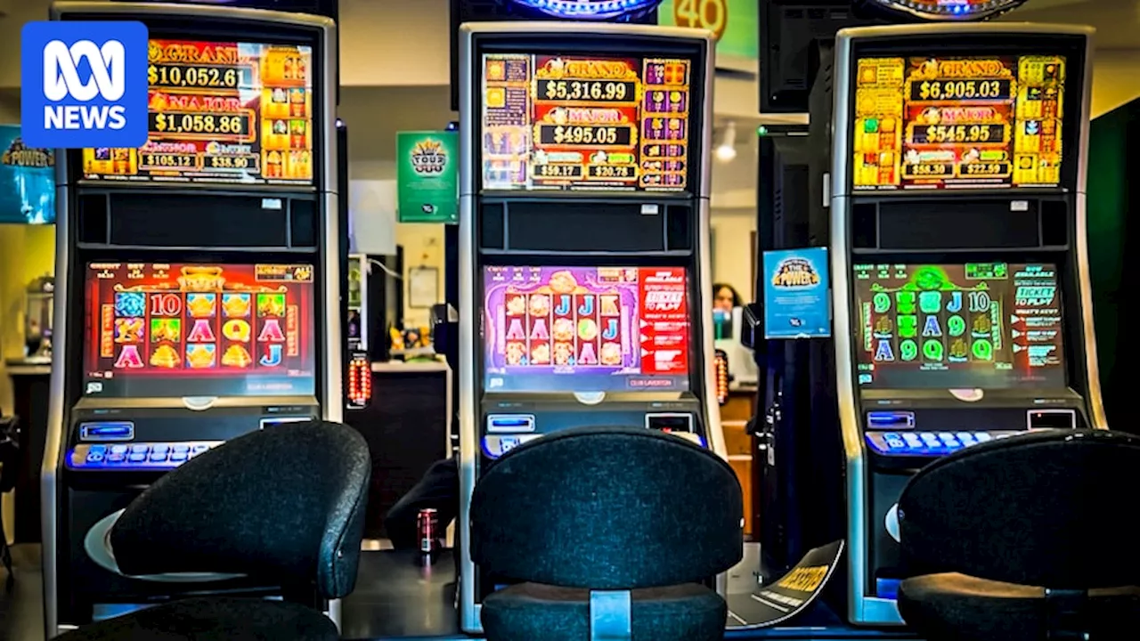 How Tasmania went from chasing nation-leading pokies reform to 'deferred progress' on gambling harm minimisation