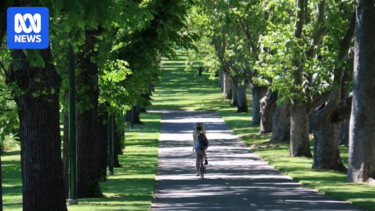 Sydney and Melbourne among major cities failing 3-30-300 tree canopy goals