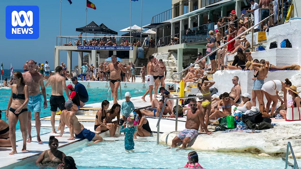 'We yearn for connection': New documentary explores the community at Sydney's Bondi Icebergs