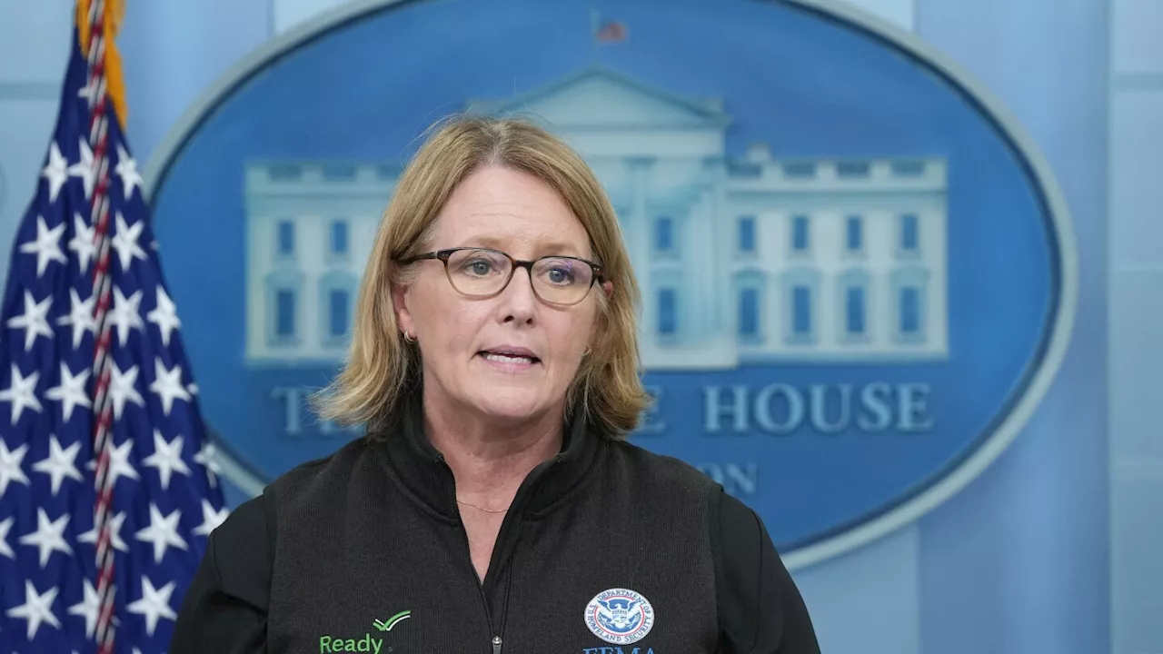 FEMA administrator says she supports investigation of alleged Trump bias in relief efforts