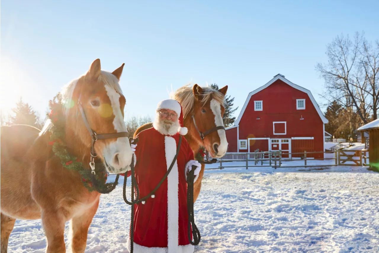 Celebrate the Holidays with Once Upon a Christmas