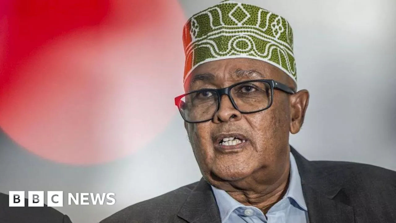 Somaliland opposition leader Abdirahman Mohamed Abdullahi 'Irro' wins presidential vote