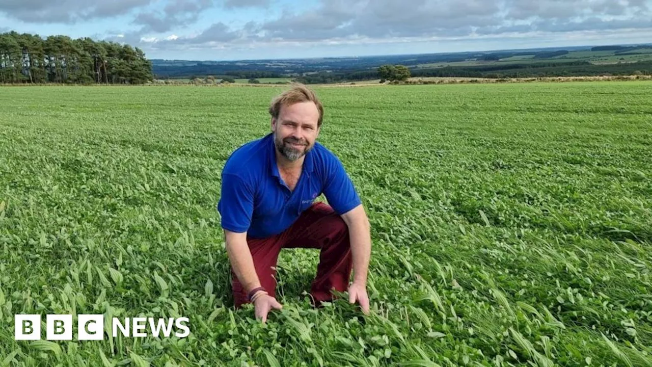 Northumberland farmers to join inheritance tax Budget protest