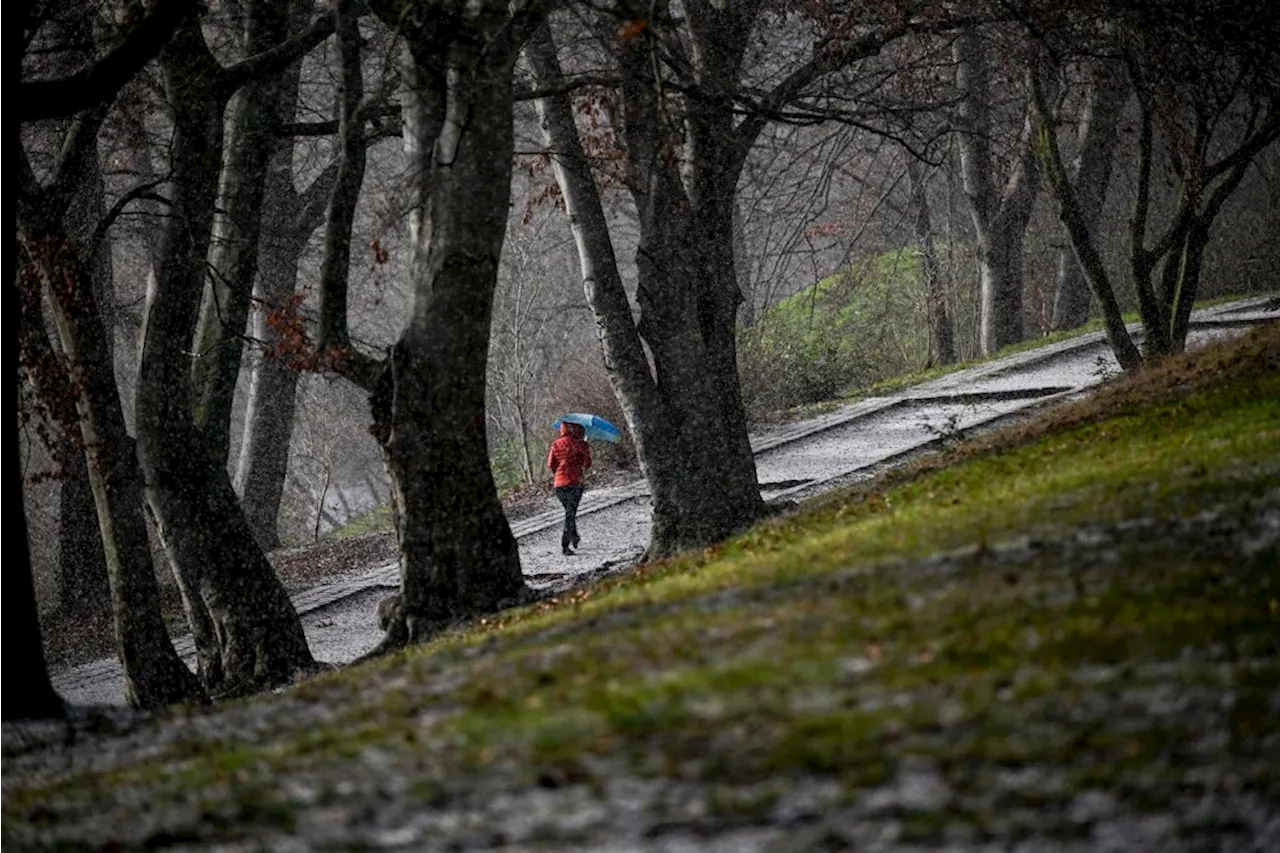 Wetter in Berlin aktuell: Sturm, Schnee und Glätte