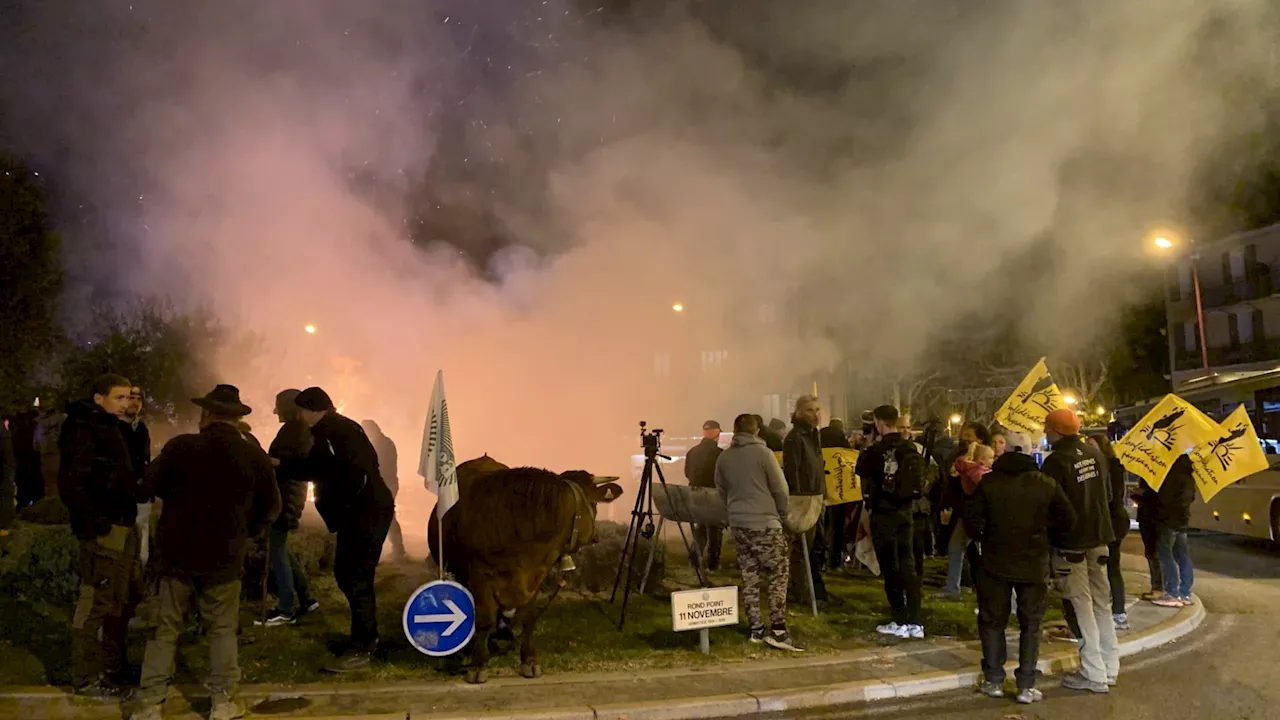 'On veut juste défendre notre métier': les agriculteurs mobilisés dans les Alpes du Sud