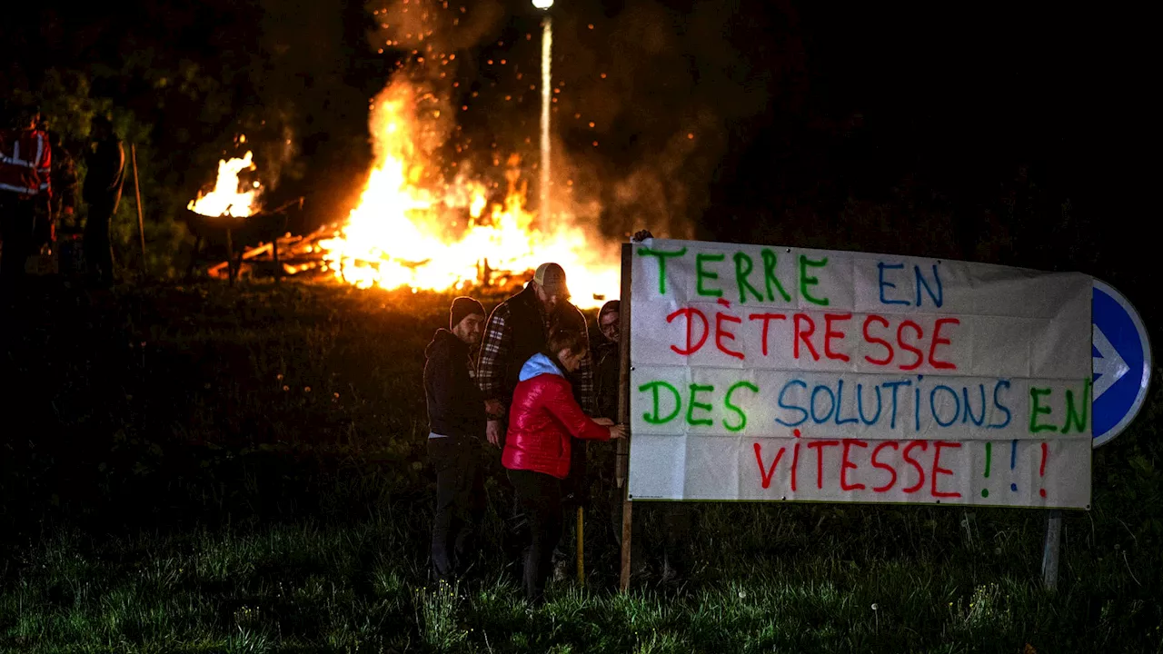 'Paralyser et affamer Toulouse': la présidente de la Coordination rurale assure que 'si ça dure, ça...