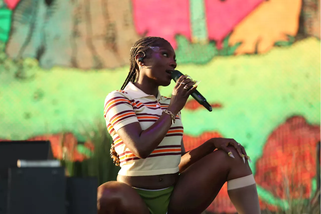 Camp Flog Gnaw 2024’s Best Moments Tyler, the Creator, Sexyy Red, SZA, Playboi Carti, The