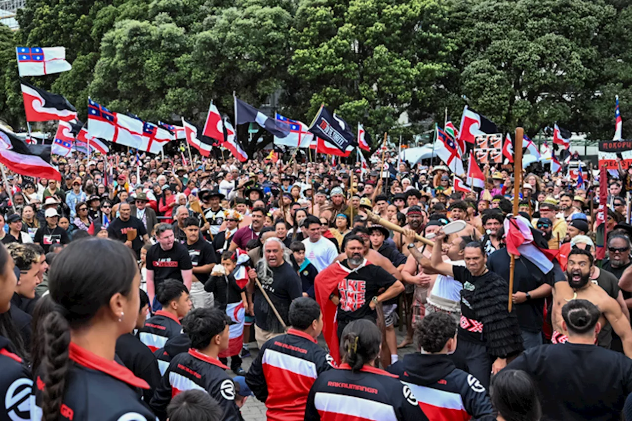 Tens of thousands gather in Wellington to defend indigenous rights and oppose treaty law changes | Charlotte Graham-Mclay