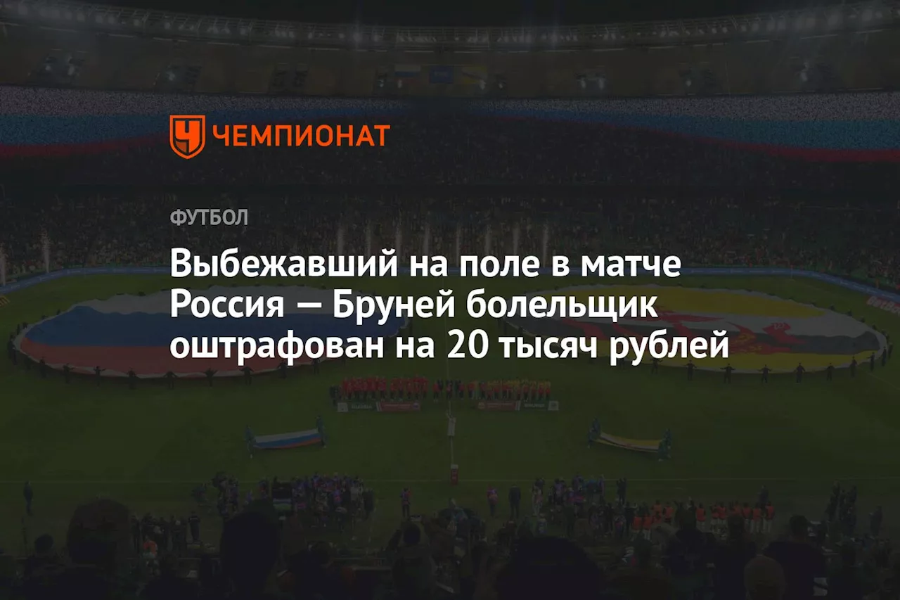 Выбежавший на поле в матче Россия — Бруней болельщик оштрафован на 20 тысяч рублей