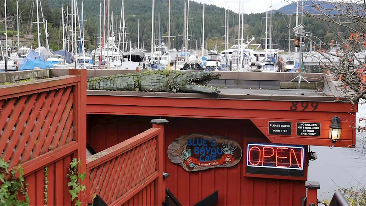 ‘It’s time to enjoy life’: Blue’s Bayou Cafe closing after 25 years