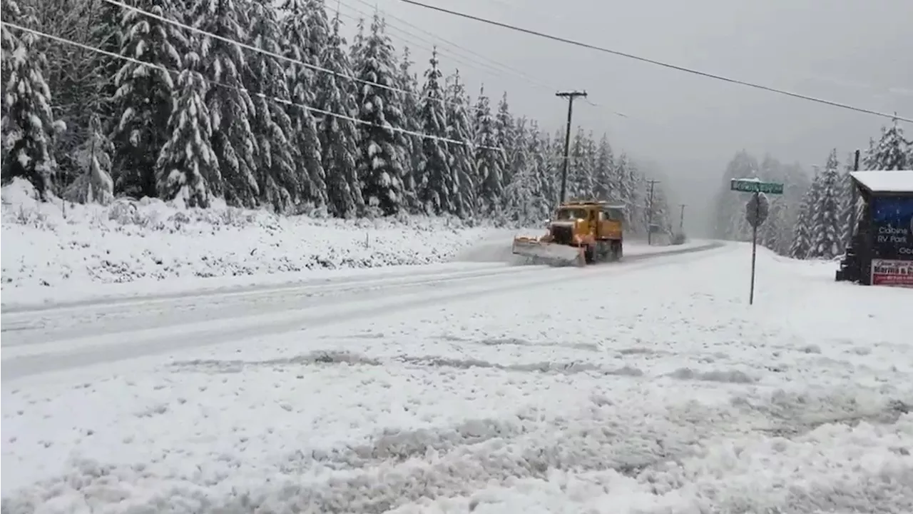 Snow falls on Vancouver Island north of Campbell River ahead of bomb cyclone