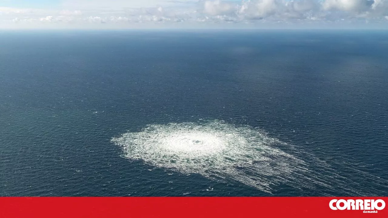 Suécia confirma danos em outro cabo de telecomunicações no Mar Báltico