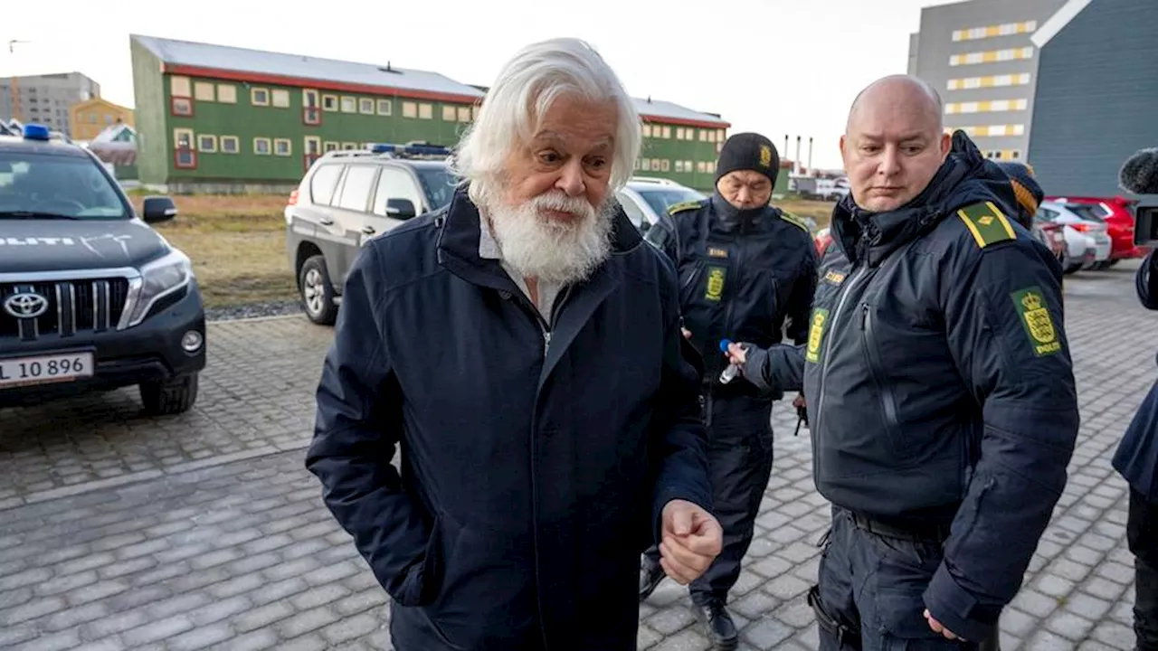 Paul Watson : la Ville de Paris attribue la citoyenneté d'honneur au militant écologiste