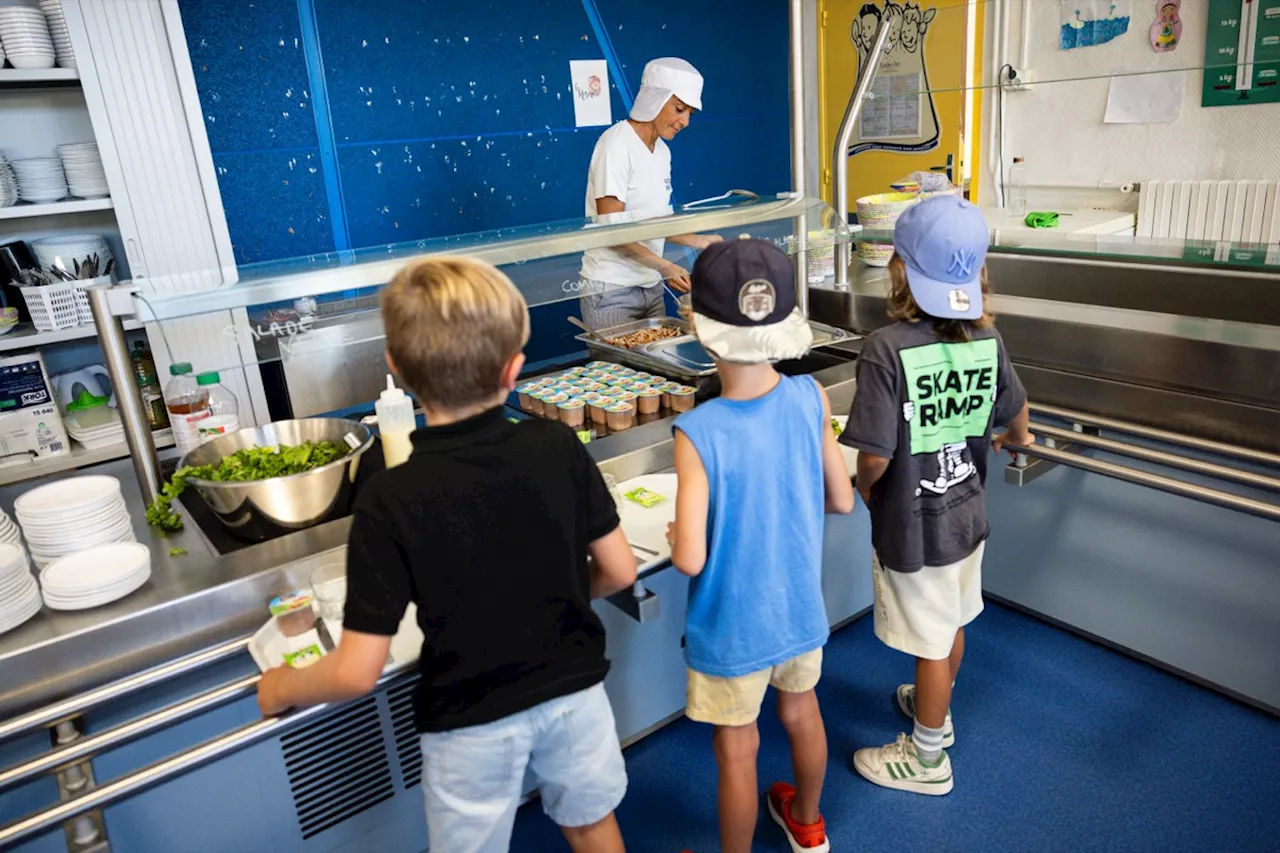 Un enfant sur cinq ne mange pas trois repas par jour en France