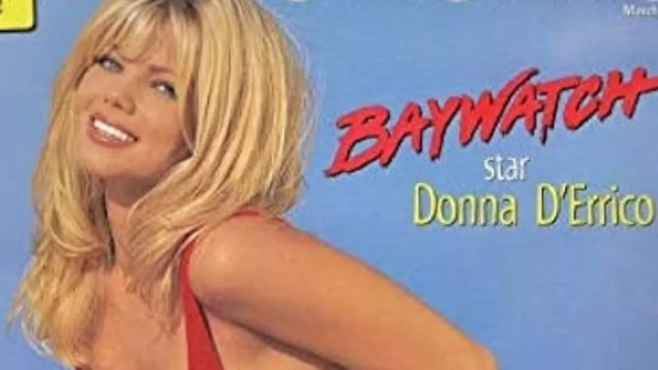 Baywatch star Donna D'Errico, 56, shares old pinup covers during her 'blonde days'... see her now