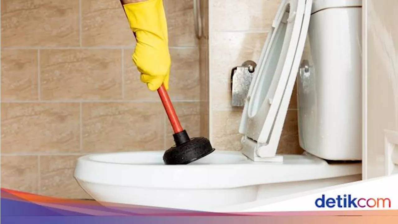 9 Cara Mengatasi WC Mampet Tanpa Harus Bongkar