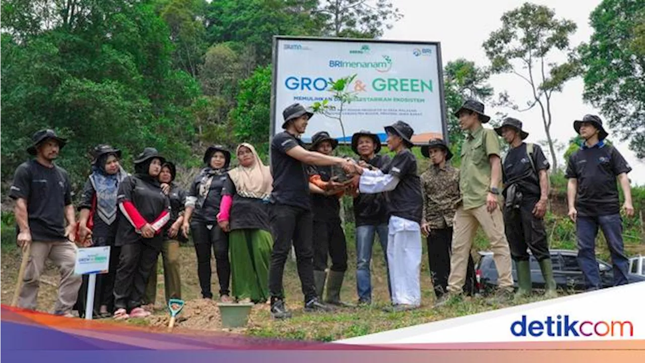 BRI dan BakauMU Ajak KTH Pabangbon Pulihkan Ekosistem Alam