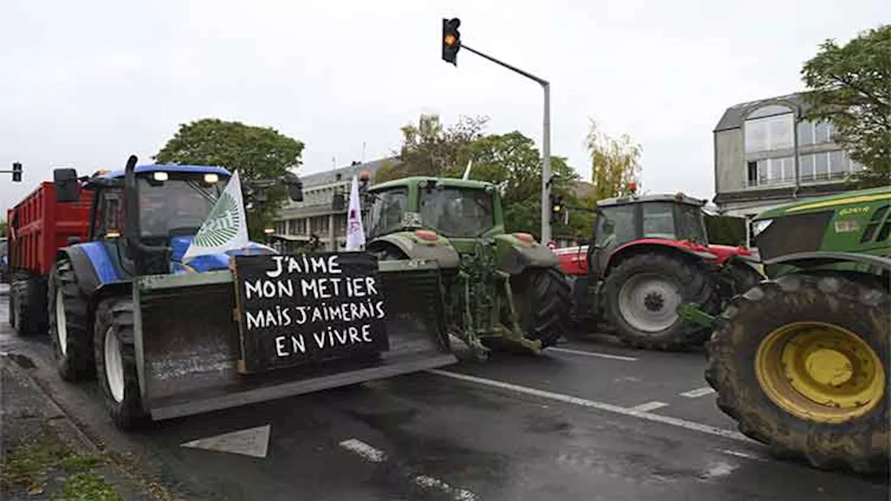 French farmers escalate protests against an EU-Mercosur trade deal and fear unfair competition