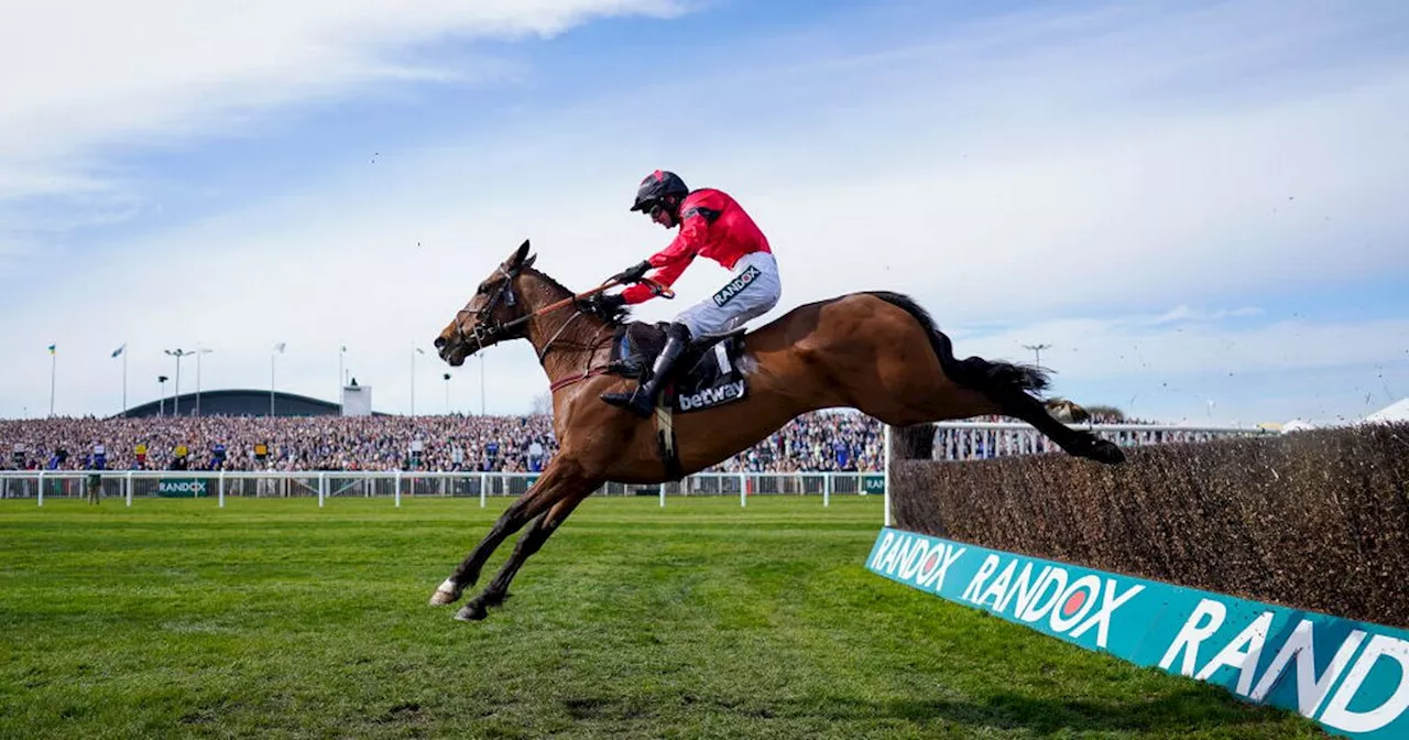 Ahoy Senor compared to cricketing legends ahead of crack at Betfair Chase