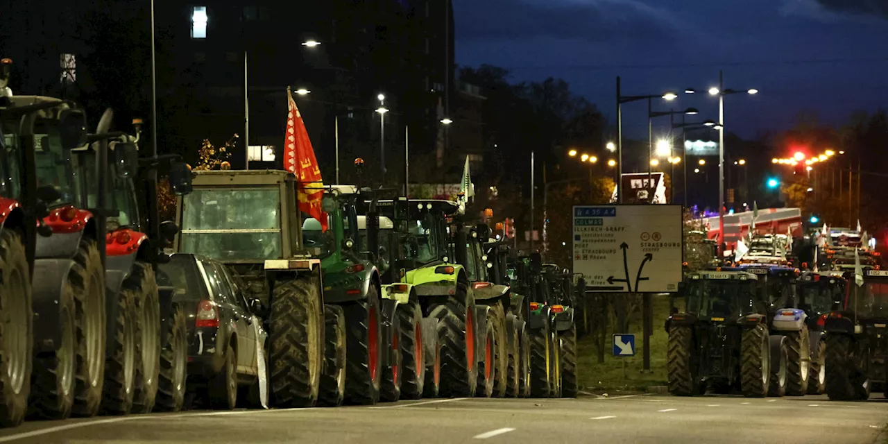 Colère des agriculteurs : les tracteurs sont ressortis, la colère ravivée par la peur du Mercosur