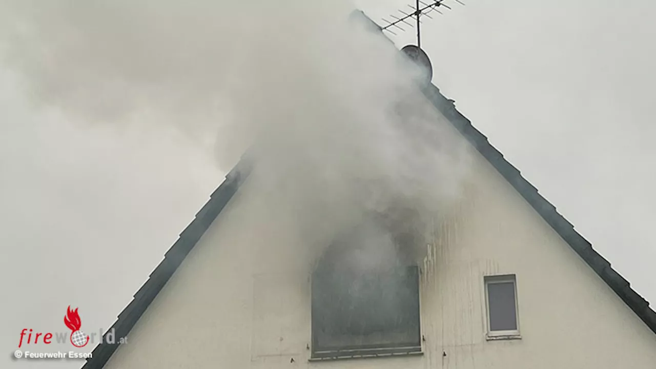 D: Geflüchteter sowie toter Hund bei Feuer in Einfamilienhaus in Essen