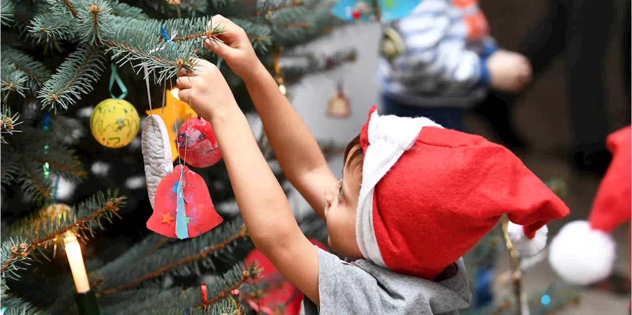 Mann soll 3000 Euro wegen Weihnachtsbaum zahlen - jetzt startet nächster Prozess