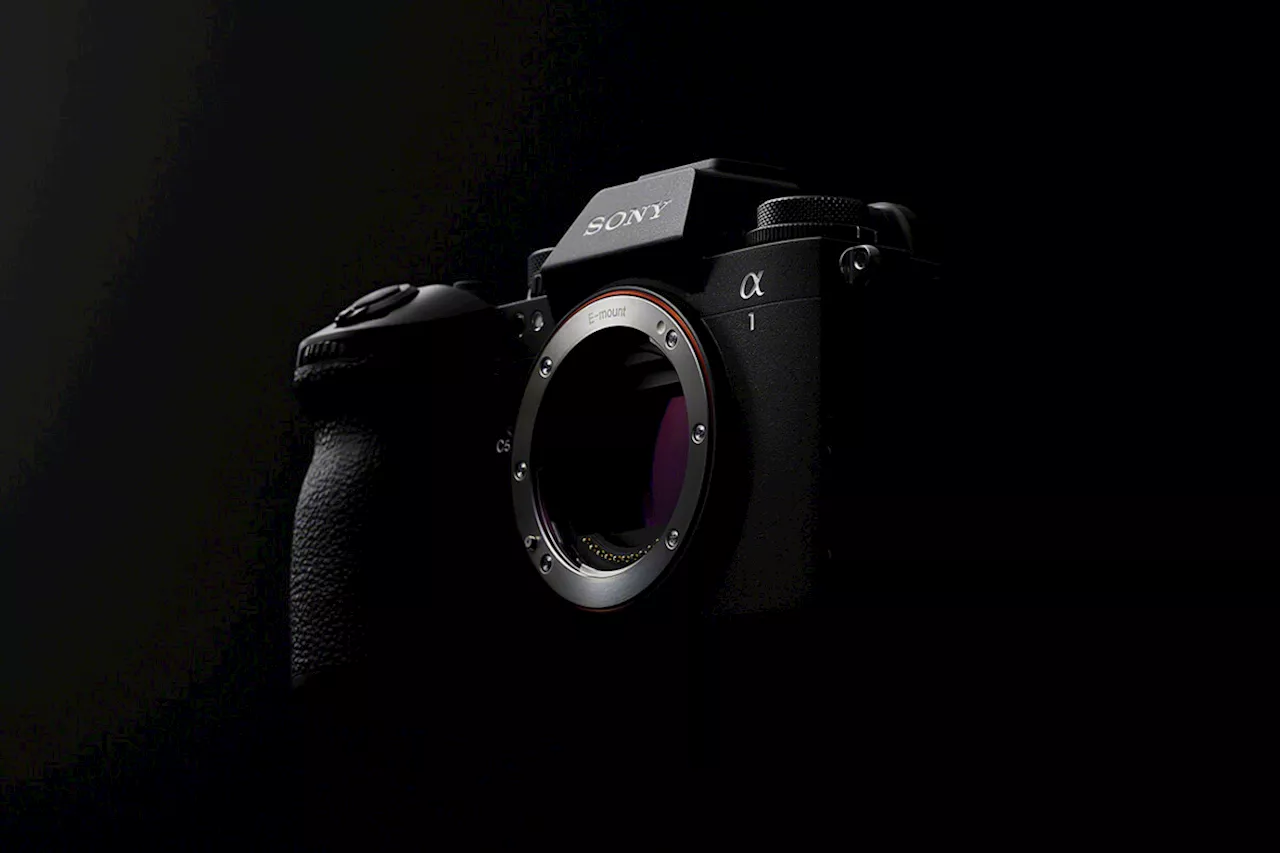 Alpha 1 II : Sony dévoile son nouvel appareil photo haut de gamme aux performances très équilibrées