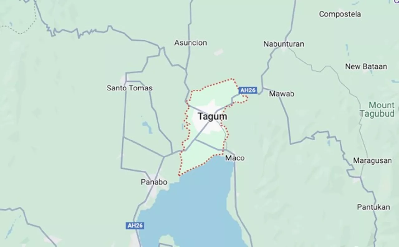 Boy in Tagum City dies a month after getting scratched by dog