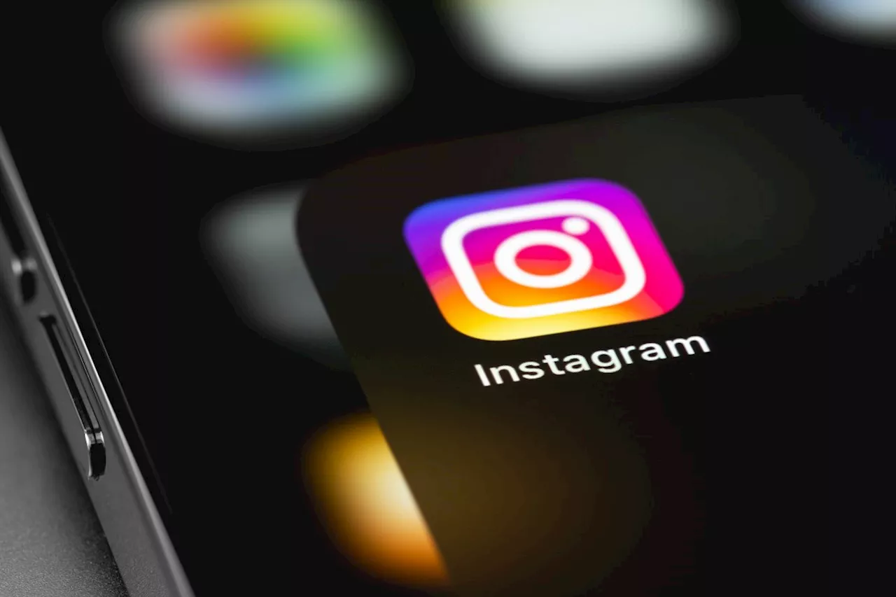 Instagram führt Reset-Knopf für Empfehlungen ein