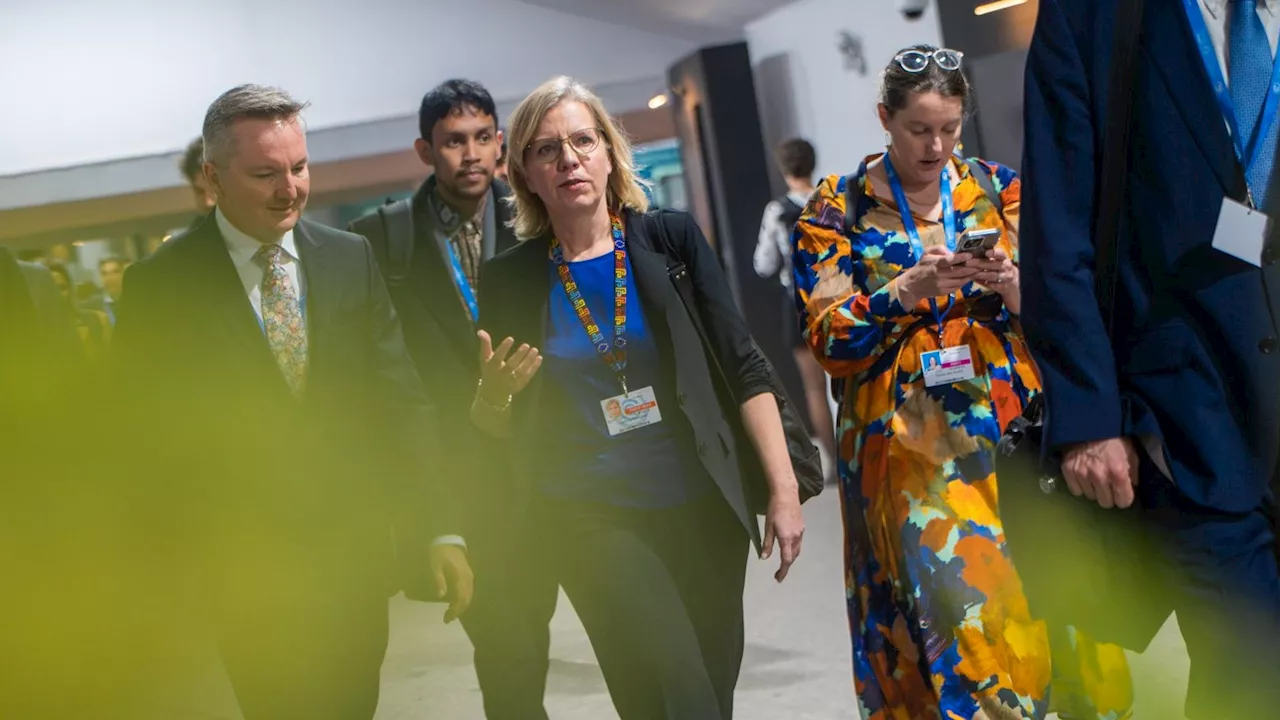 Emotionale Rede übers Klima - Gewessler kämpft bei COP29 für 'Hoffnungen und Träume'